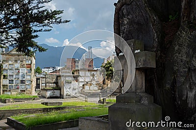 Old Tombstone Cross near to a tree into a central Cemetery Editorial Stock Photo